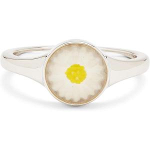 Pura Vida Silver-Plated Meadow Stackable Signet Ring – Brass Base, Stylish Design – Size 5-9